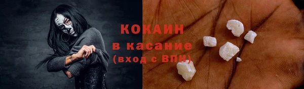 крисы Алексин