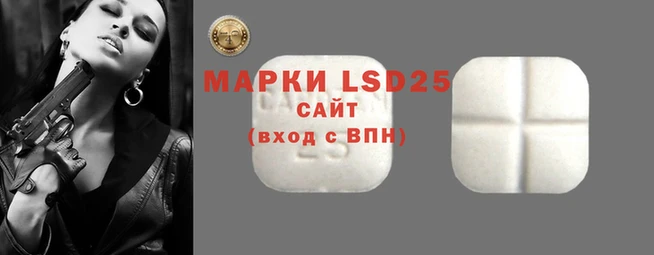 стафф Алзамай
