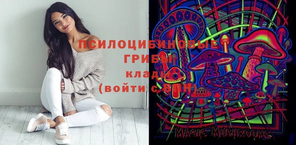 крисы Алексин