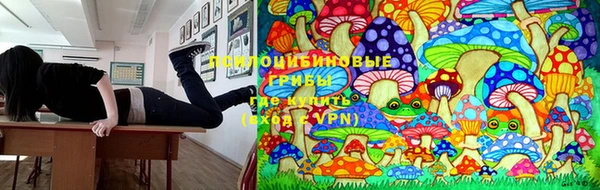 крисы Алексин