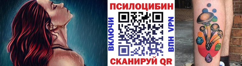 Псилоцибиновые грибы прущие грибы  Звенигово 